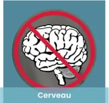 Motifs cerveau à personnaliser et imprimer avec Spreadshirt : humour ou réflexion, créez un cadeau cerveau, t-shirt, mug ou tapis de souris original.