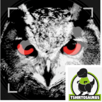 Tête de hibou à personnaliser. Créez votre article original avec le Design Hibou.
