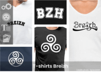 T-shirt Breizh, achetez un t-shirt breton BZH ou créez votre propre article Bretagne original.